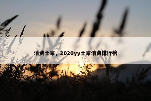 消费土豪，2020yy土豪消费排行榜
