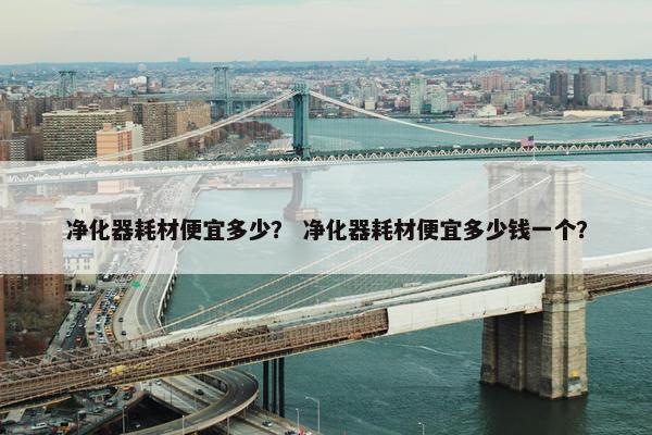 净化器耗材便宜多少？ 净化器耗材便宜多少钱一个？