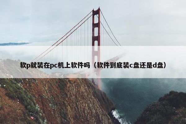 软p就装在pc机上软件吗（软件到底装c盘还是d盘）