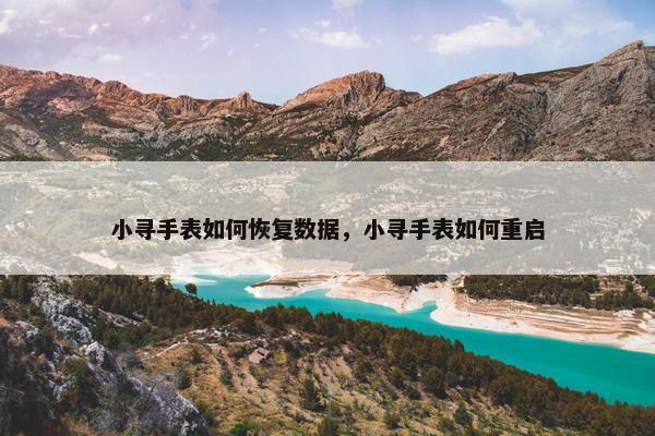 小寻手表如何恢复数据，小寻手表如何重启