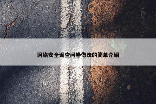 网络安全调查问卷做法的简单介绍