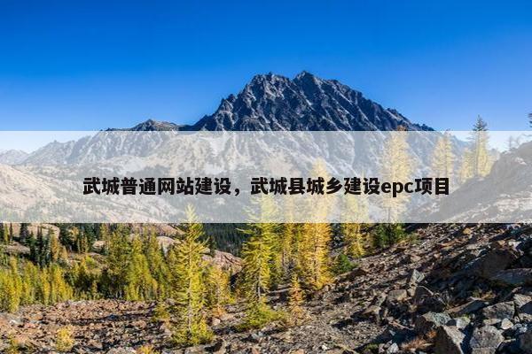 武城普通网站建设，武城县城乡建设epc项目