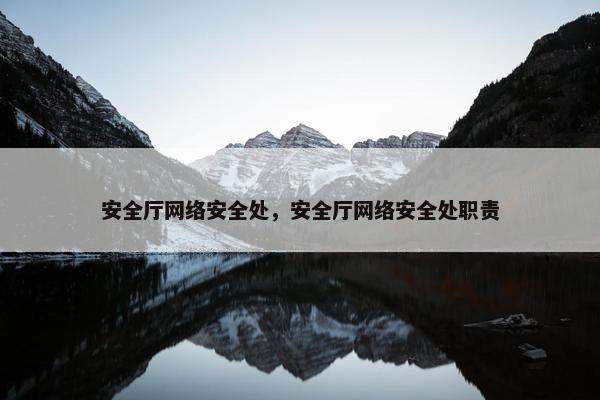安全厅网络安全处，安全厅网络安全处职责