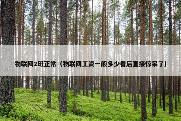 物联网2班正常（物联网工资一般多少看后直接惊呆了）