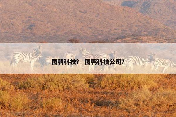 图鸭科技？ 图鸭科技公司？