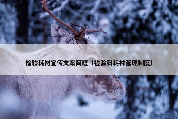 检验耗材宣传文案简短（检验科耗材管理制度）