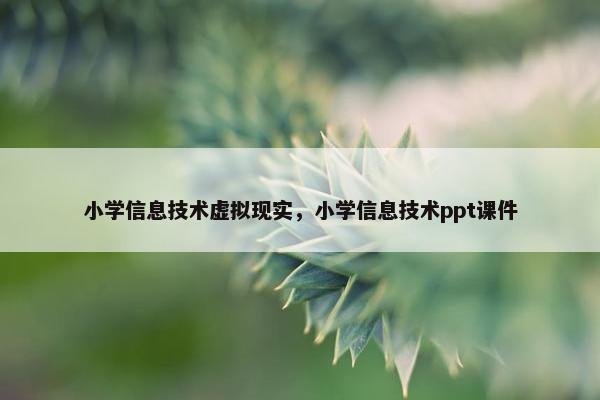 小学信息技术虚拟现实，小学信息技术ppt课件