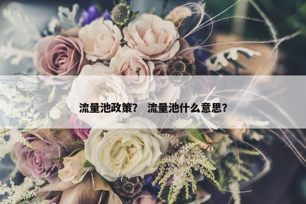 流量池政策？ 流量池什么意思？