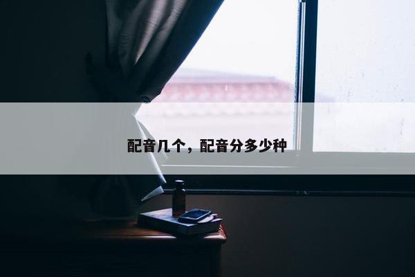配音几个，配音分多少种