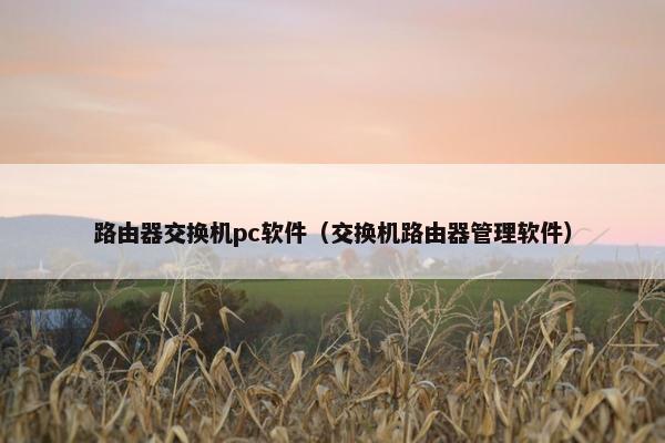 路由器交换机pc软件（交换机路由器管理软件）