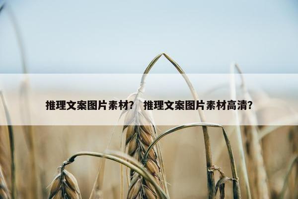 推理文案图片素材？ 推理文案图片素材高清？