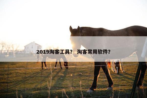 2019淘客工具？ 淘客常用软件？