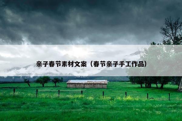 亲子春节素材文案（春节亲子手工作品）