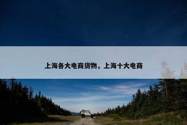 上海各大电商货物，上海十大电商