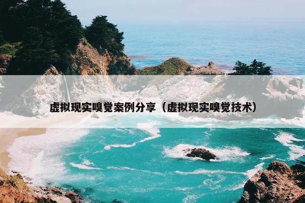 虚拟现实嗅觉案例分享（虚拟现实嗅觉技术）