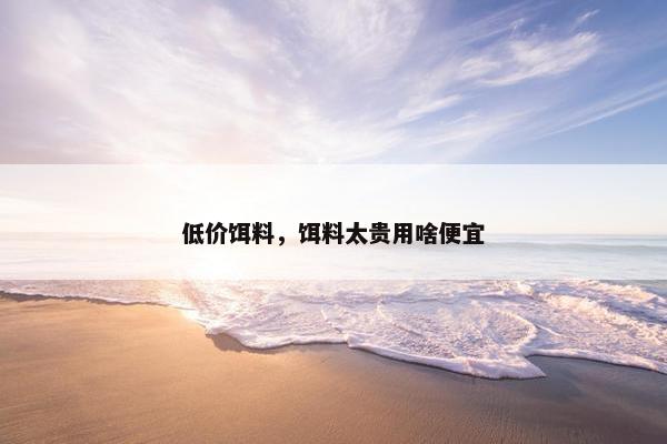 低价饵料，饵料太贵用啥便宜
