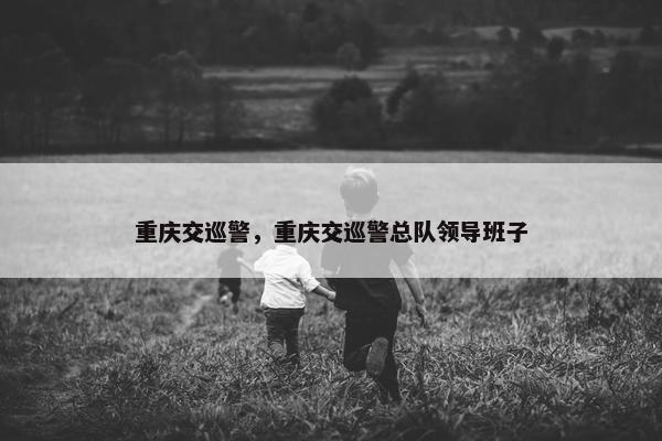 重庆交巡警，重庆交巡警总队领导班子