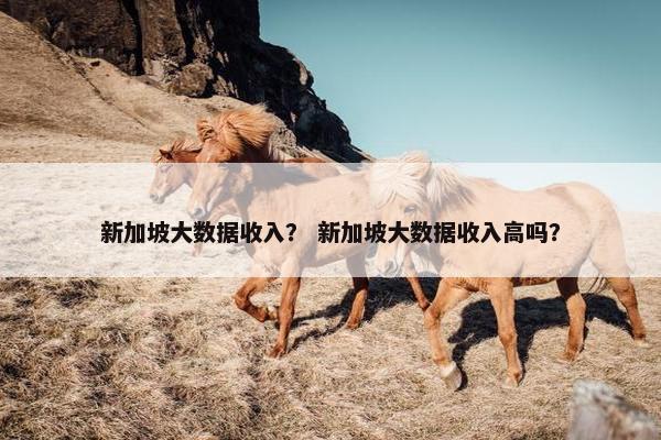 新加坡大数据收入？ 新加坡大数据收入高吗？