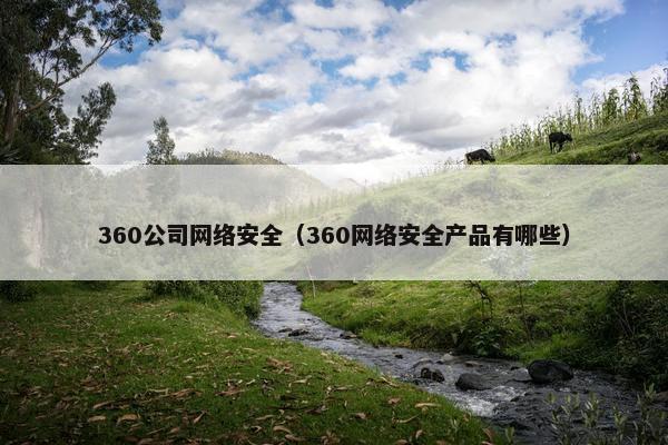 360公司网络安全（360网络安全产品有哪些）