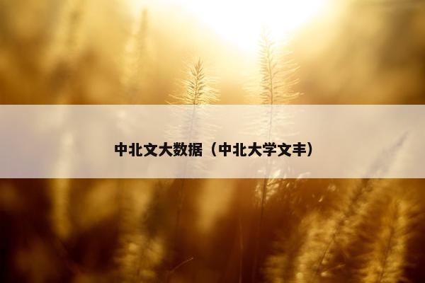 中北文大数据（中北大学文丰）