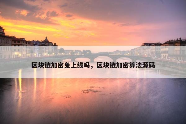 区块链加密兔上线吗，区块链加密算法源码