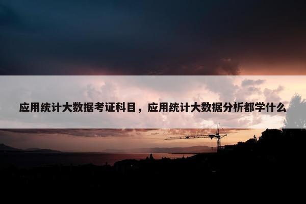 应用统计大数据考证科目，应用统计大数据分析都学什么