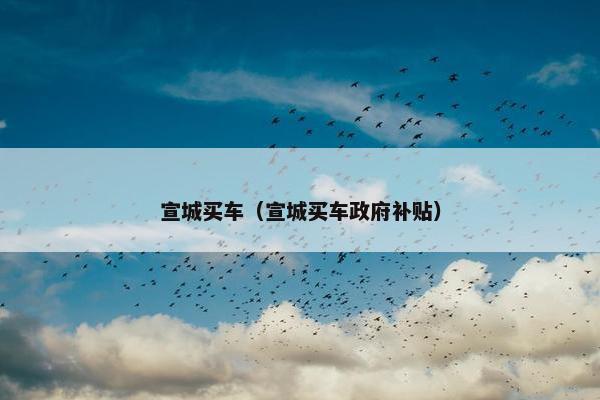 宣城买车（宣城买车政府补贴）