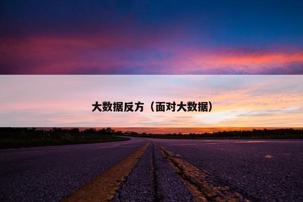 大数据反方（面对大数据）
