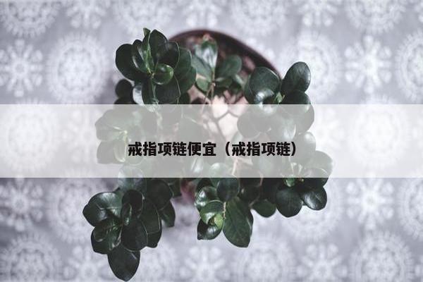 戒指项链便宜（戒指项链）