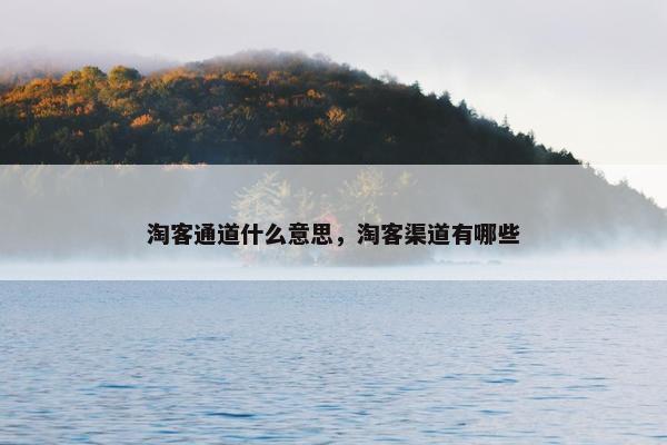 淘客通道什么意思，淘客渠道有哪些