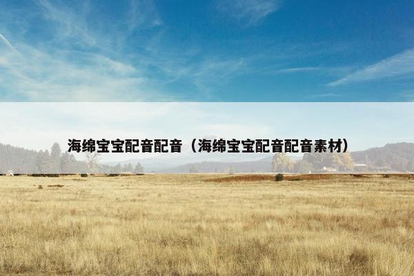 海绵宝宝配音配音（海绵宝宝配音配音素材）