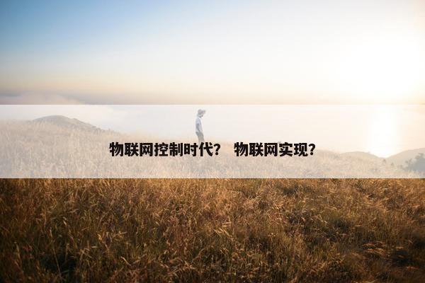 物联网控制时代？ 物联网实现？