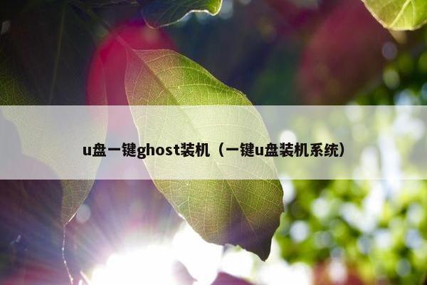 u盘一键ghost装机（一键u盘装机系统）