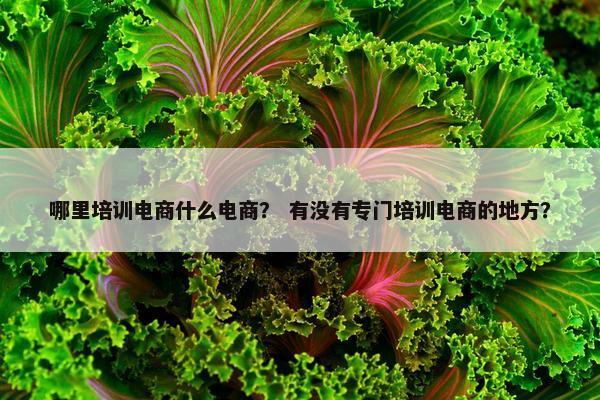 哪里培训电商什么电商？ 有没有专门培训电商的地方？