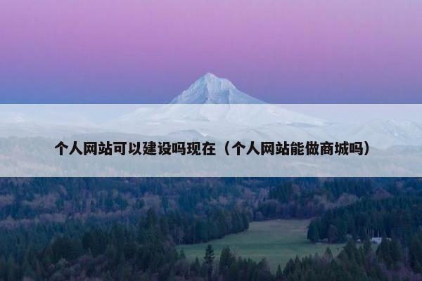 个人网站可以建设吗现在（个人网站能做商城吗）