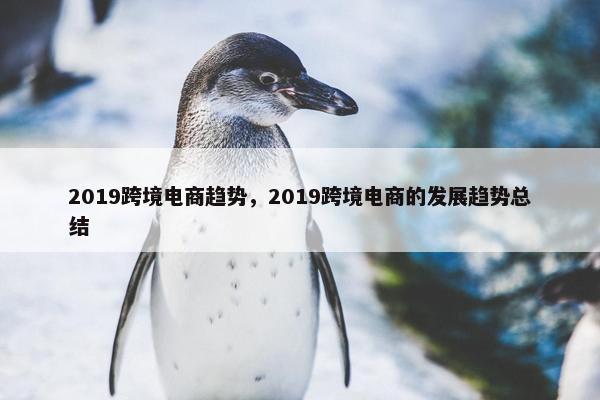2019跨境电商趋势，2019跨境电商的发展趋势总结