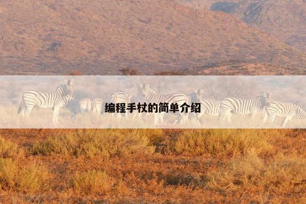 编程手杖的简单介绍