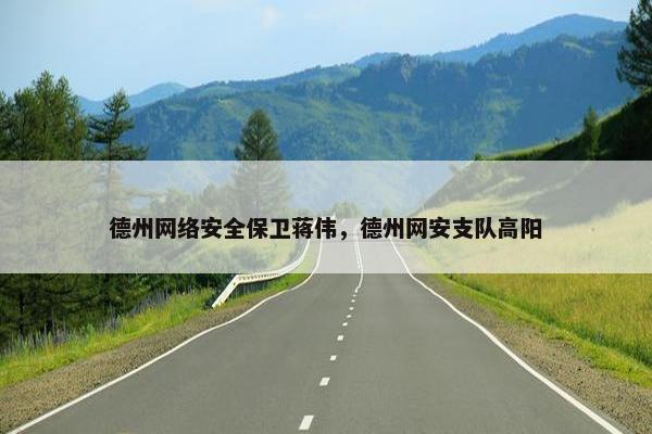 德州网络安全保卫蒋伟，德州网安支队高阳