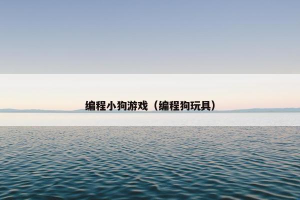 编程小狗游戏（编程狗玩具）