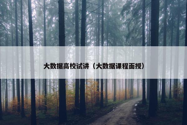 大数据高校试讲（大数据课程面授）