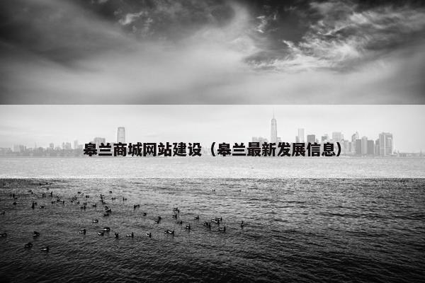 皋兰商城网站建设（皋兰最新发展信息）