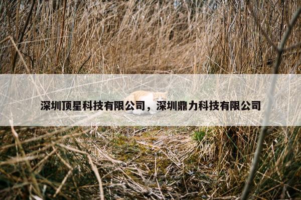 深圳顶星科技有限公司，深圳鼎力科技有限公司