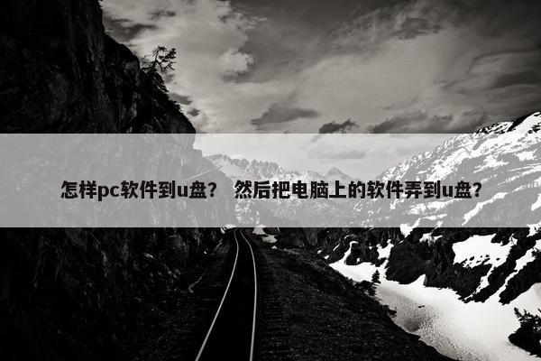 怎样pc软件到u盘？ 然后把电脑上的软件弄到u盘？
