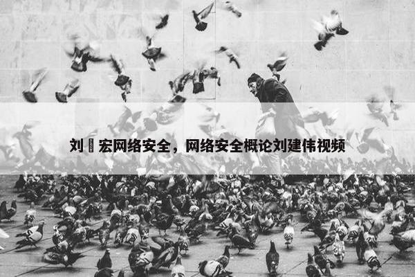 刘畊宏网络安全，网络安全概论刘建伟视频