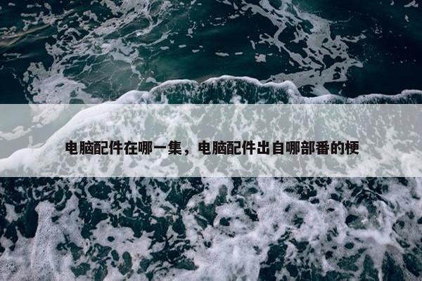 电脑配件在哪一集，电脑配件出自哪部番的梗