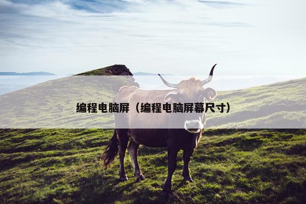 编程电脑屏（编程电脑屏幕尺寸）