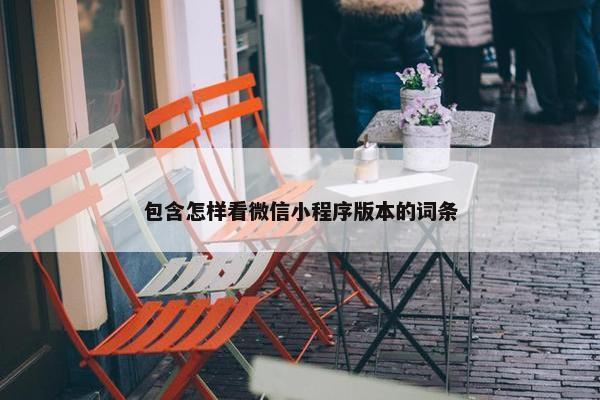 包含怎样看微信小程序版本的词条
