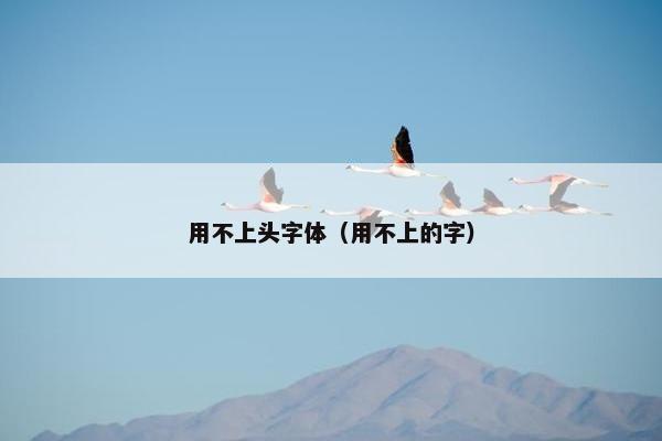 用不上头字体（用不上的字）