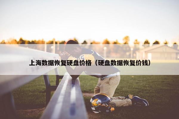 上海数据恢复硬盘价格（硬盘数据恢复价钱）