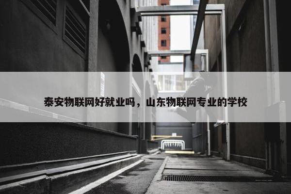 泰安物联网好就业吗，山东物联网专业的学校